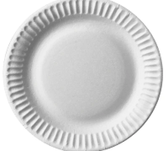 Assiettes en plastique – grand modèle – 20 pcs