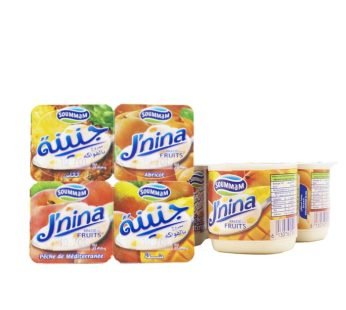 Yaourt brassé J’nina aux fruits – mélange – 100g