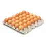 Oeufs frais – 30pcs